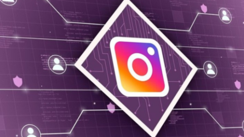 How To Increase Instagram Followers In 2024?