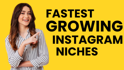 7 Fastest Growing Instagram Niches For 2024