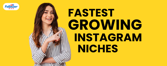 7 Fastest Growing Instagram Niches For 2024 - Followerbar