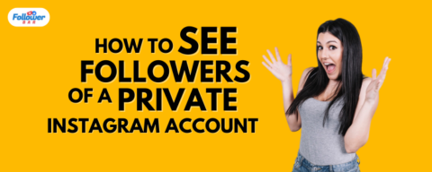 How To See Followers Of A Private Instagram Account?