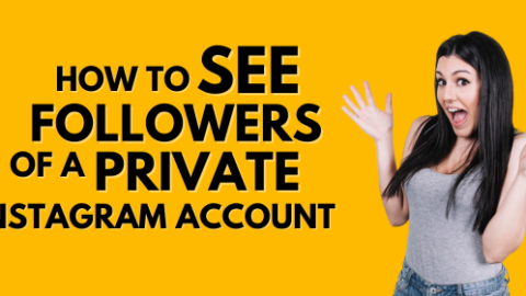 How To See Followers Of A Private Instagram Account?