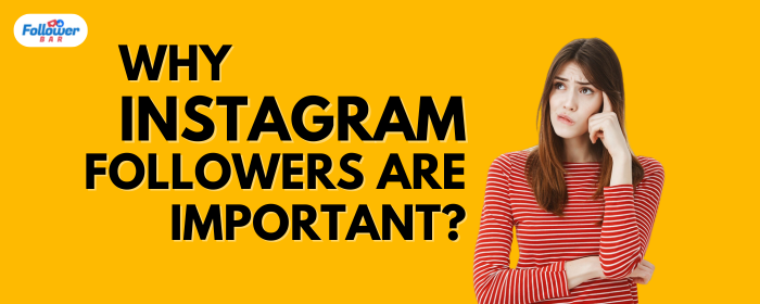 Why Instagram Followers Are Important? - Followerbar