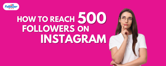 5 Strategies To Reach 500 Followers On Instagram - Followerbar