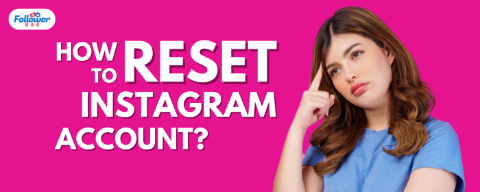 How To Reset Instagram Account? - Followerbar