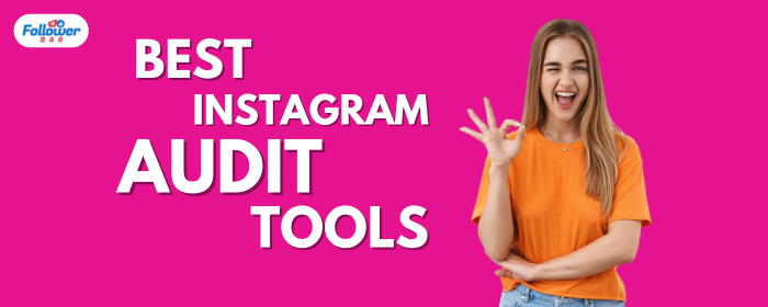 5 Best Instagram Audit Tools & How to Use Them, Useful Guide - Followerbar
